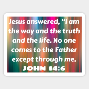 Bible Verse John 14:6 Magnet